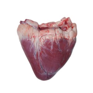 Frozen Buffalo Heart Meat